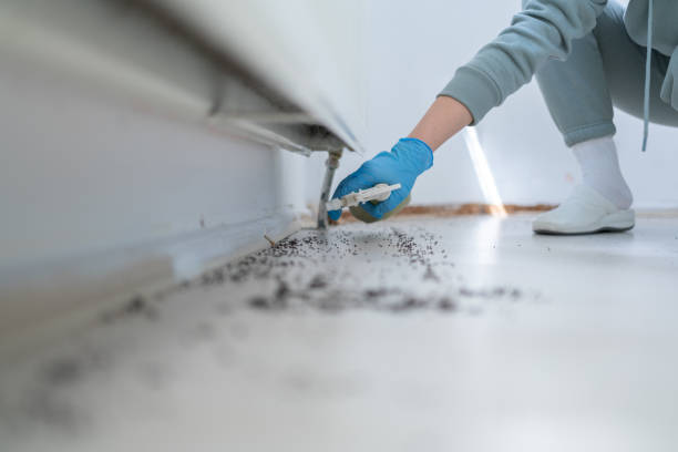 Best Affordable Pest Control Services  in Absecon Highlands, NJ